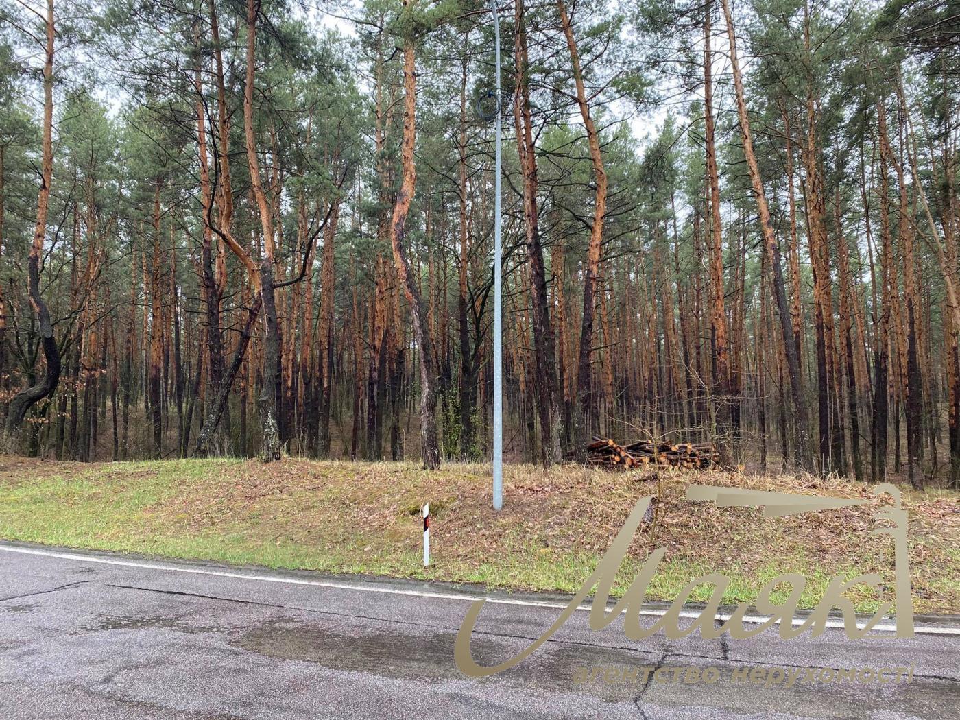 Sale. Land for individual construction, Beregovaya St., Kozin