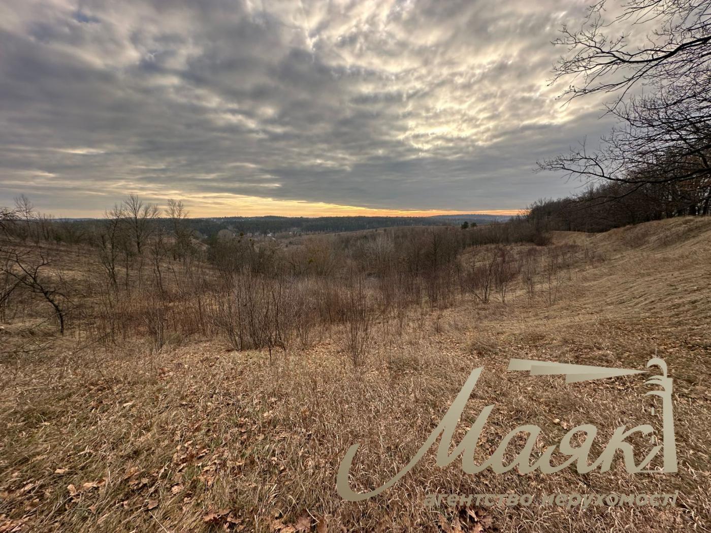 Sale of land for agricultural purposes Shkolnaya, Khodosovka village