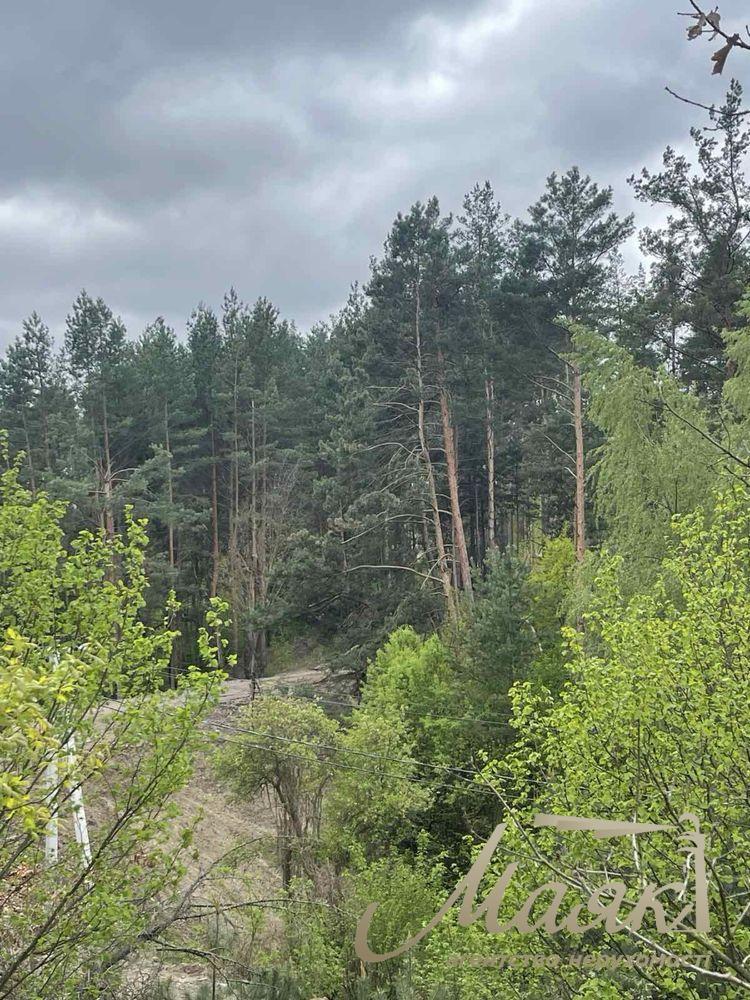 Продаж земельної ділянки 2,8 Га в лісовій частині Нової Ходосівки