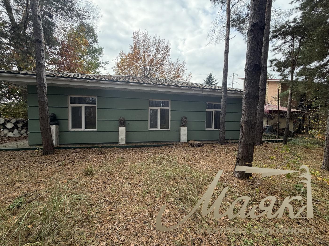 House for sale Obukhiv district, Dam, Kozin, Pluty, Ukrainka