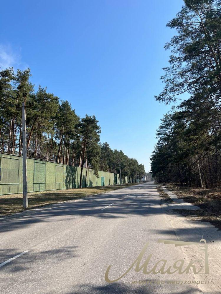 Продаж земельних ділянок у сосновому лісі - с. Плюти, Обухівський напрямок , 15 соток