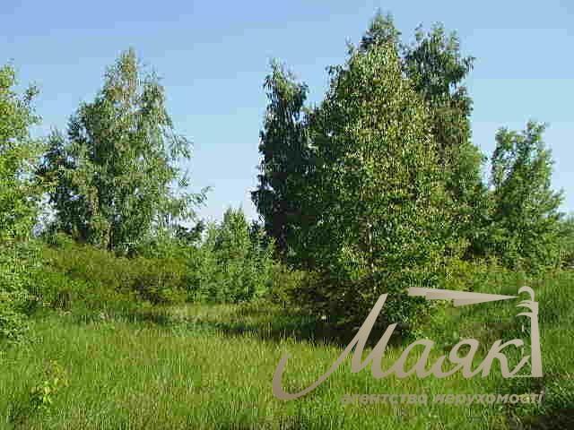 Plot for sale with access to the water (Koncha-Zaspa, Pluty, Kozin)