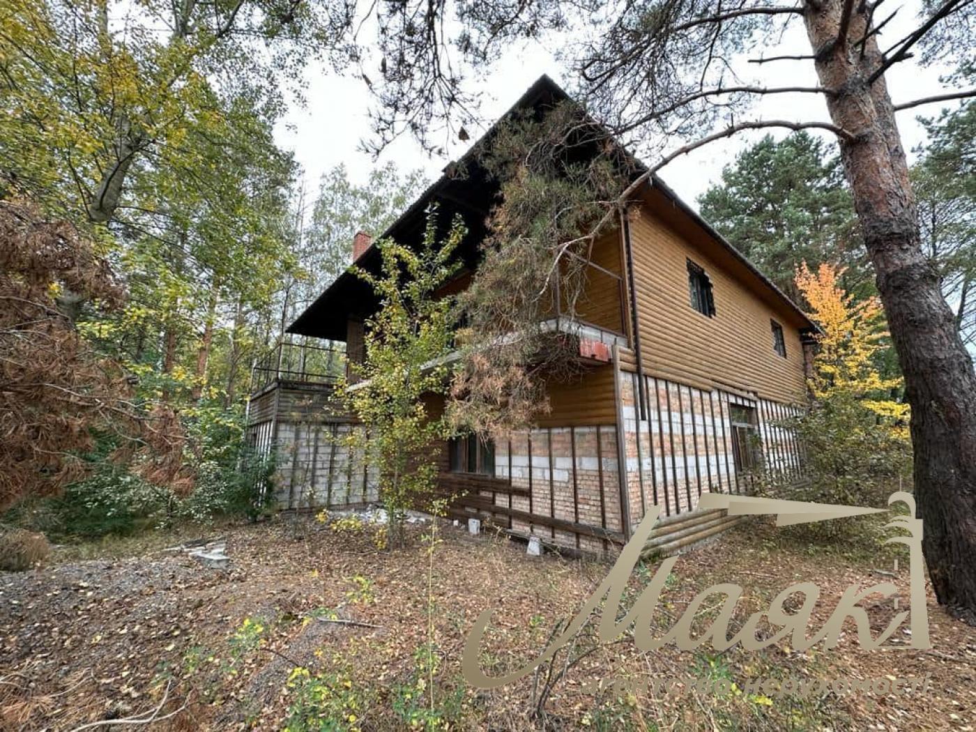 Sale of land with forest and access to the Dnieper. village Yasnogorodka