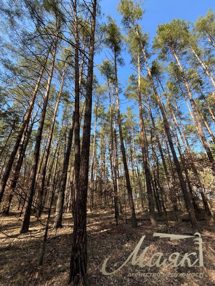 Продажа земельных участков от 15 соток до 8 Га — с.Вита-Почтовая и окрестности.