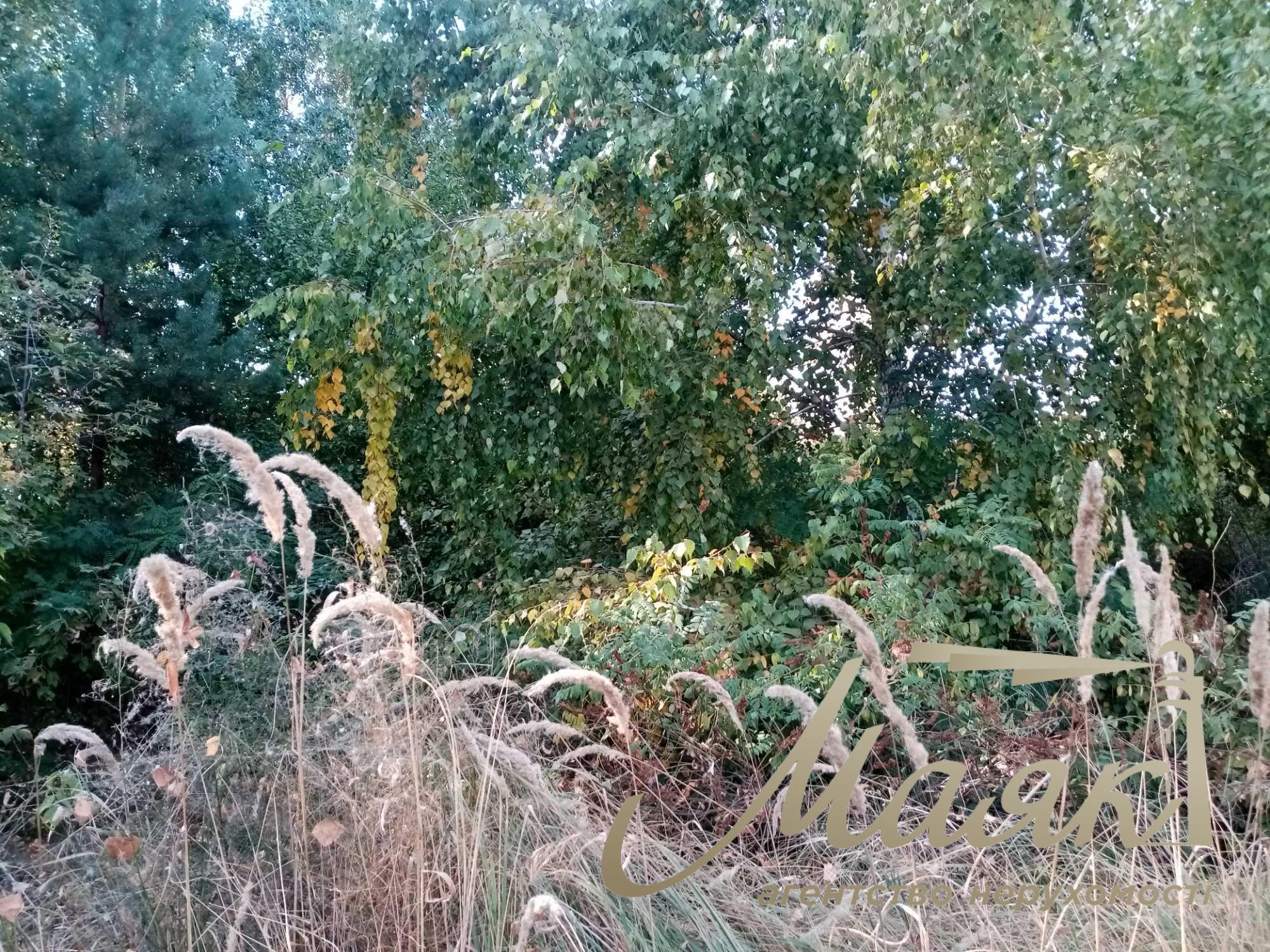 Plot for sale with access to the water (Koncha-Zaspa, Pluty, Kozin)