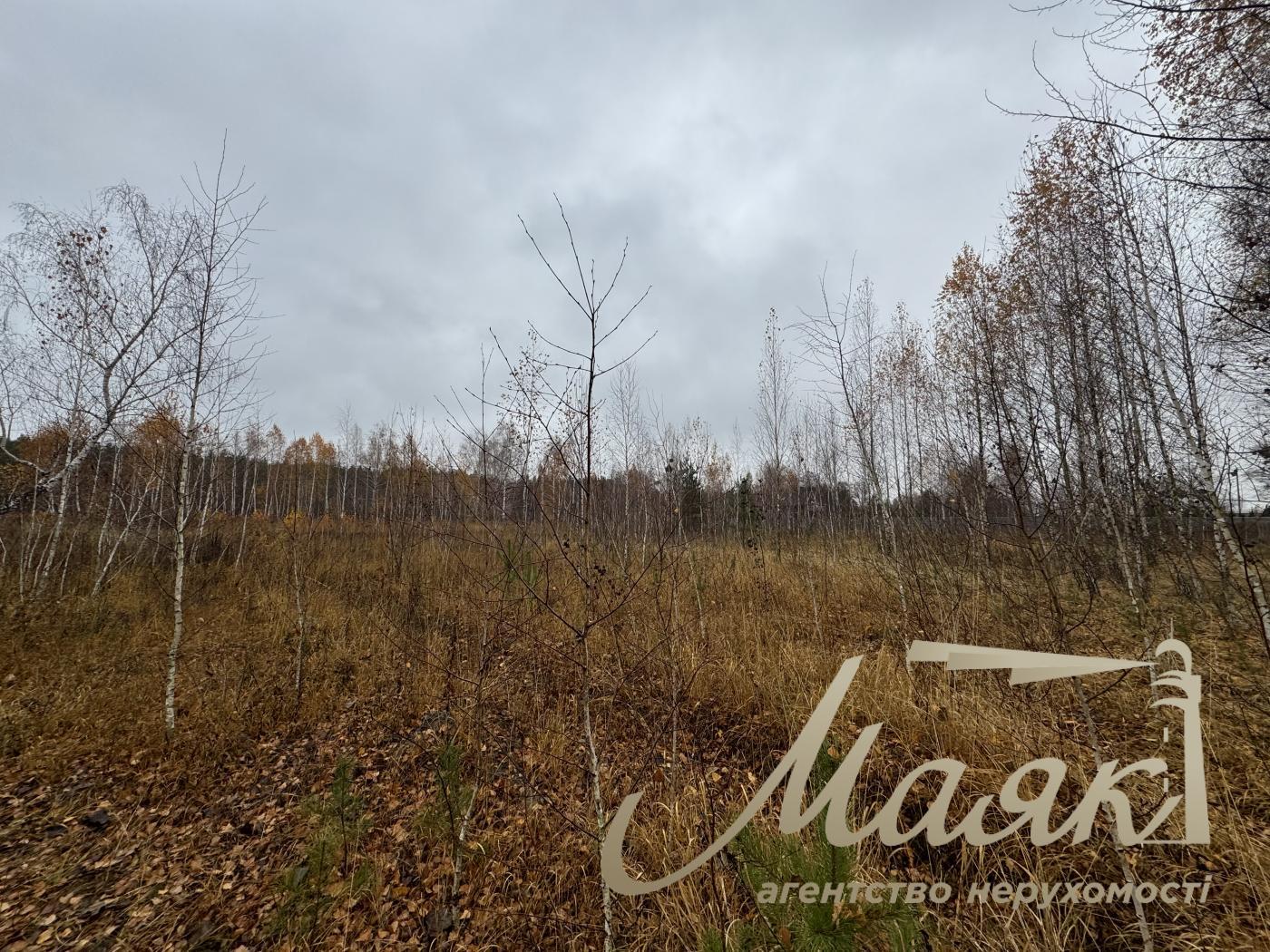 Sale of land in Kyiv region 40 acres + 20 acres for individual construction, Khutor Mrigi, Koncha Zaspa, Goloseevo, Kyiv