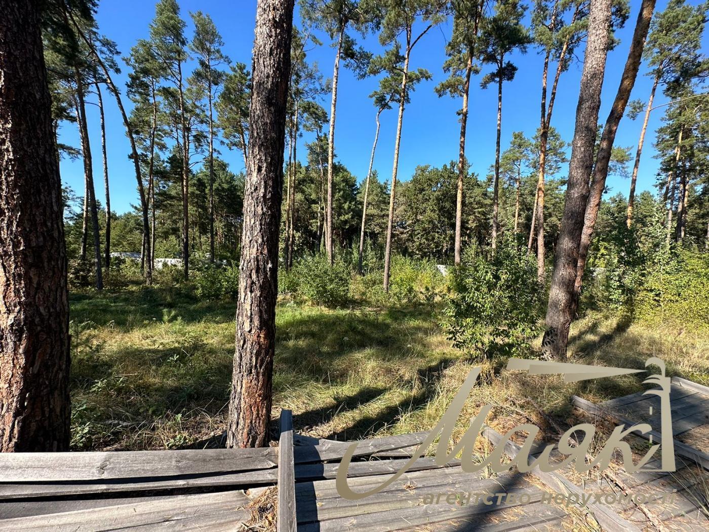 Sale of land in the forest for construction of a town. Koncha-Zaspa.