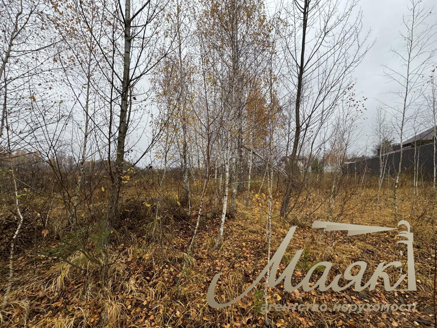 Sale of land in Kyiv region 40 acres + 20 acres for individual construction, Khutor Mrigi, Koncha Zaspa, Goloseevo, Kyiv