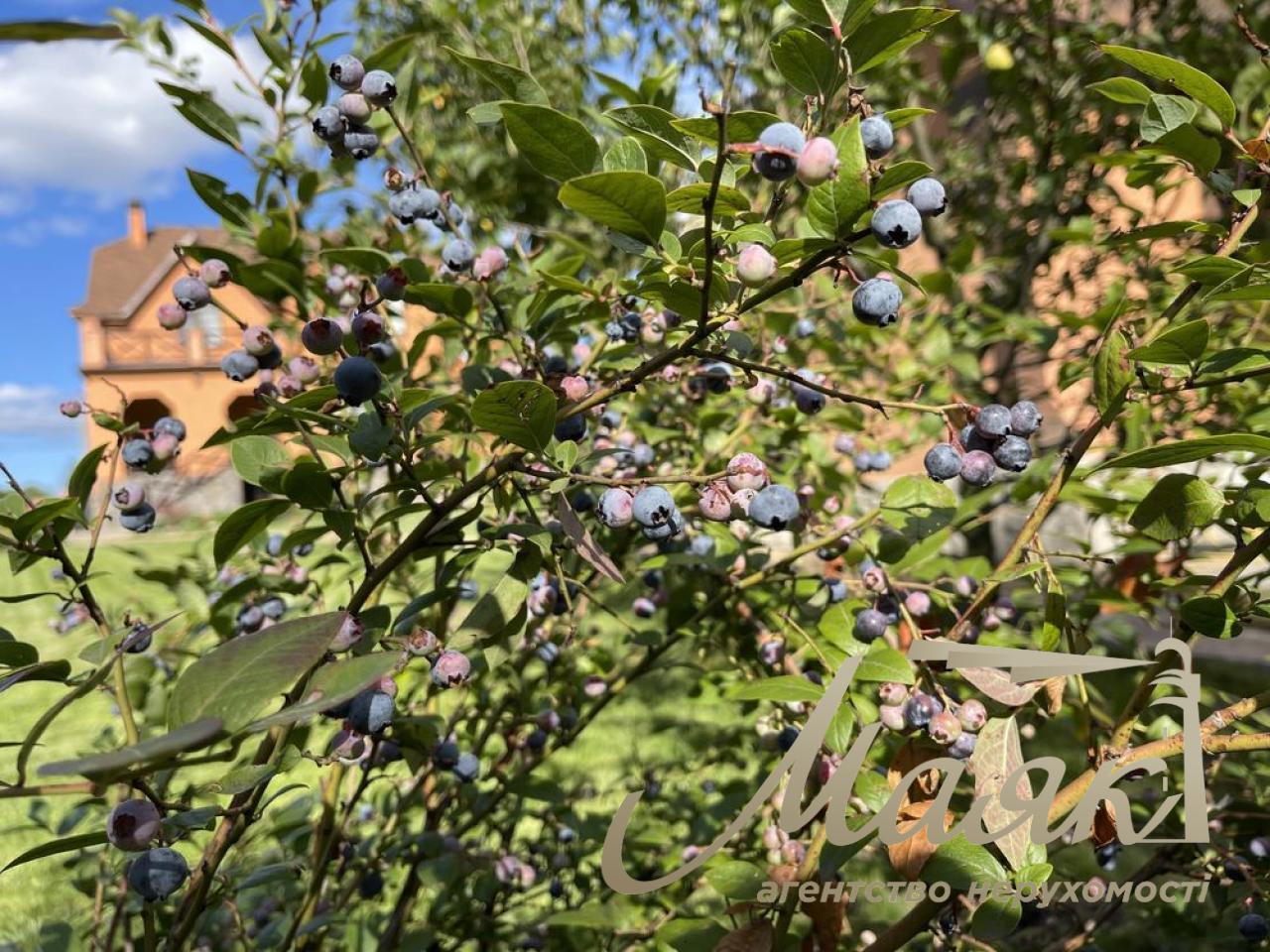 Продаж будинку 360 м2 у Жулянах з ділянкою 15 соток вул.,.Нова