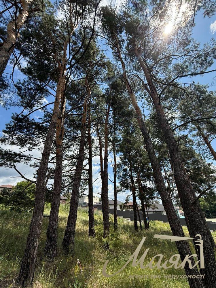 Продаж видових земельних ділянок від 14 до 40 соток у Лісниках, Києво-Святошинський район.