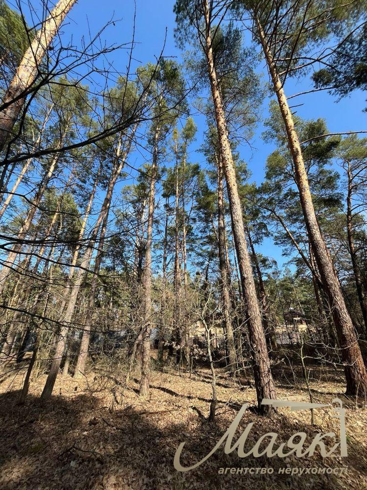 Продажа земельных участков от 15 соток до 8 Га — с.Вита-Почтовая и окрестности.