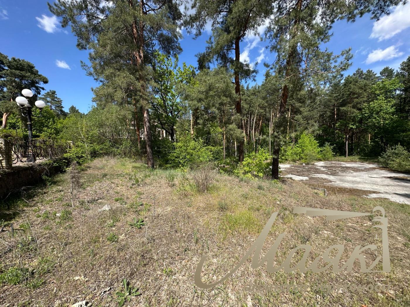 Sale of a plot of land in the forest in the city of Koncha-Zaspa.