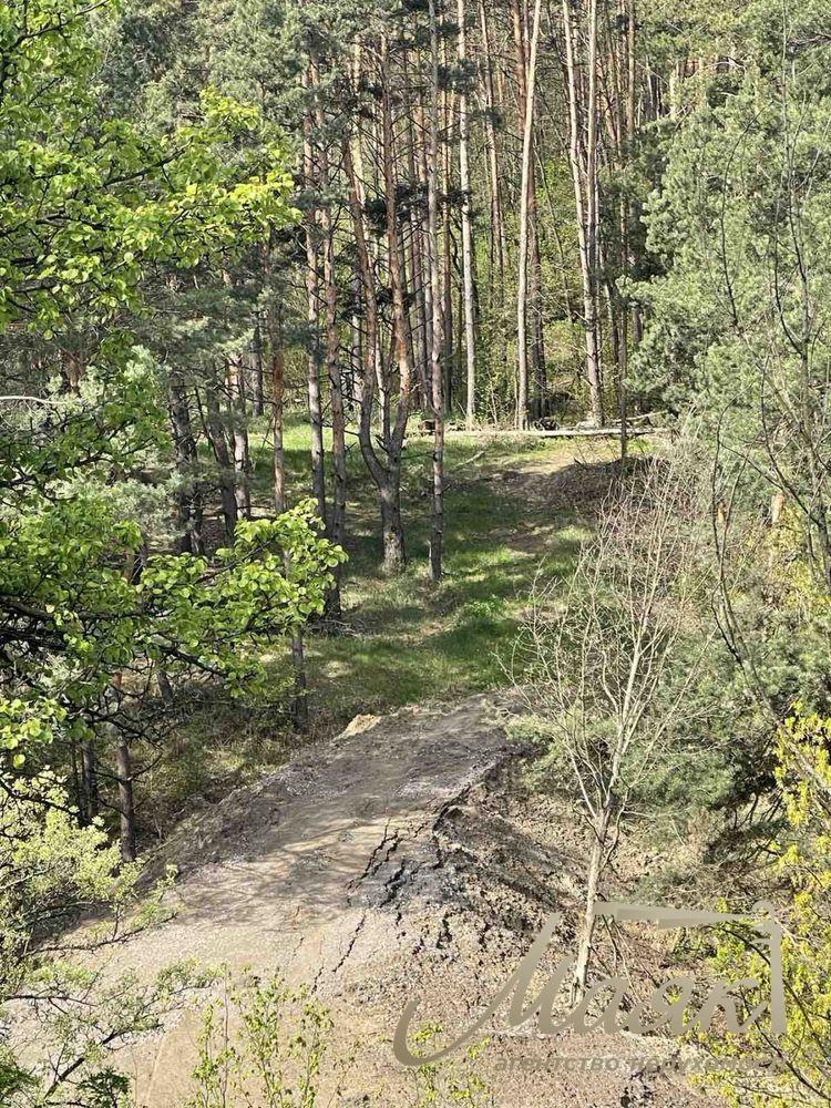 Продаж земельної ділянки 2,8 Га в лісовій частині Нової Ходосівки