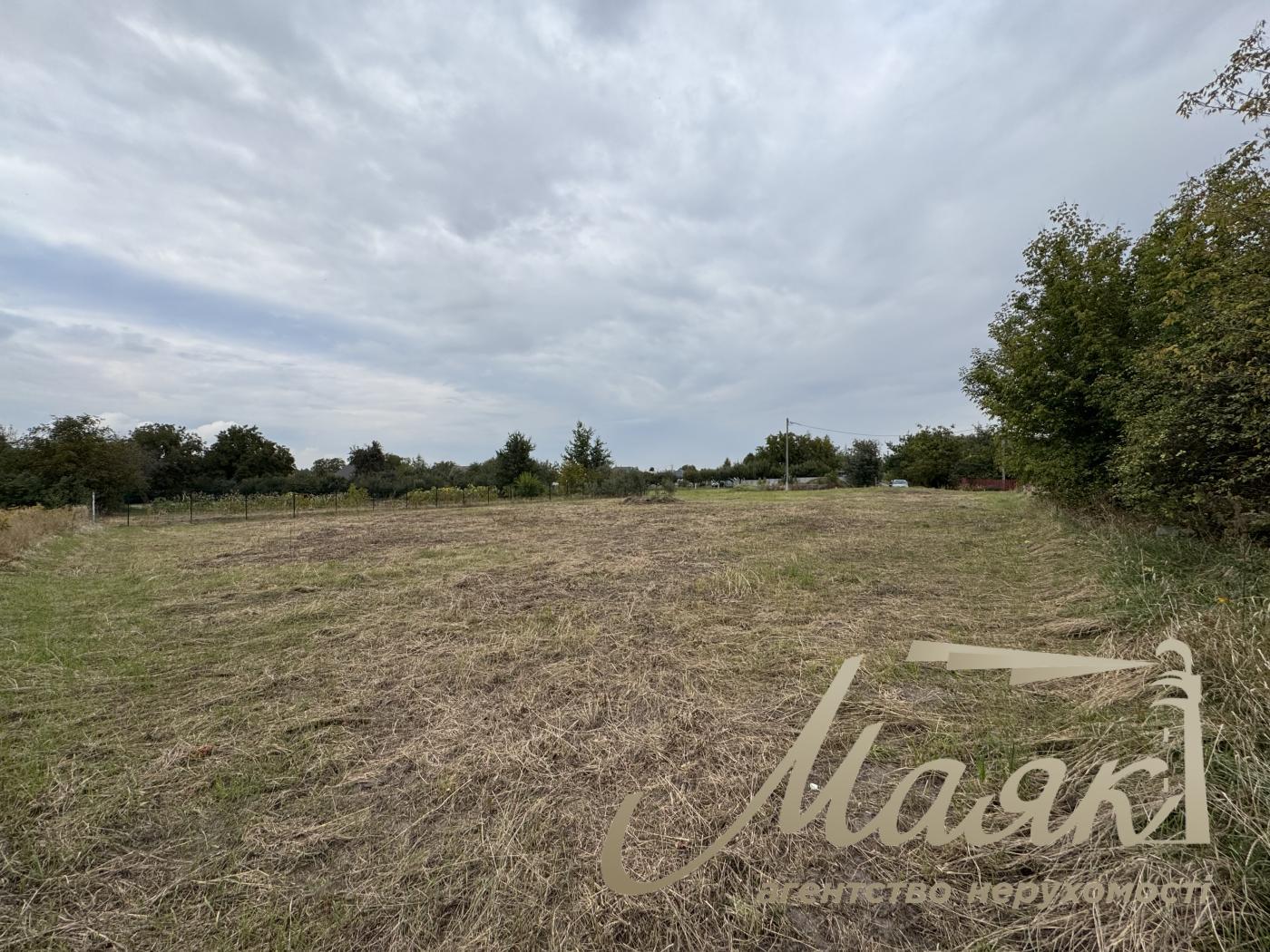 Sale of land plot with. Zaliznoe Vasilkovsky district