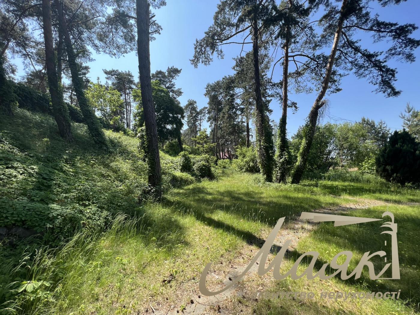 Sale of a plot with access to the Dnieper river. Kozin village. Dam