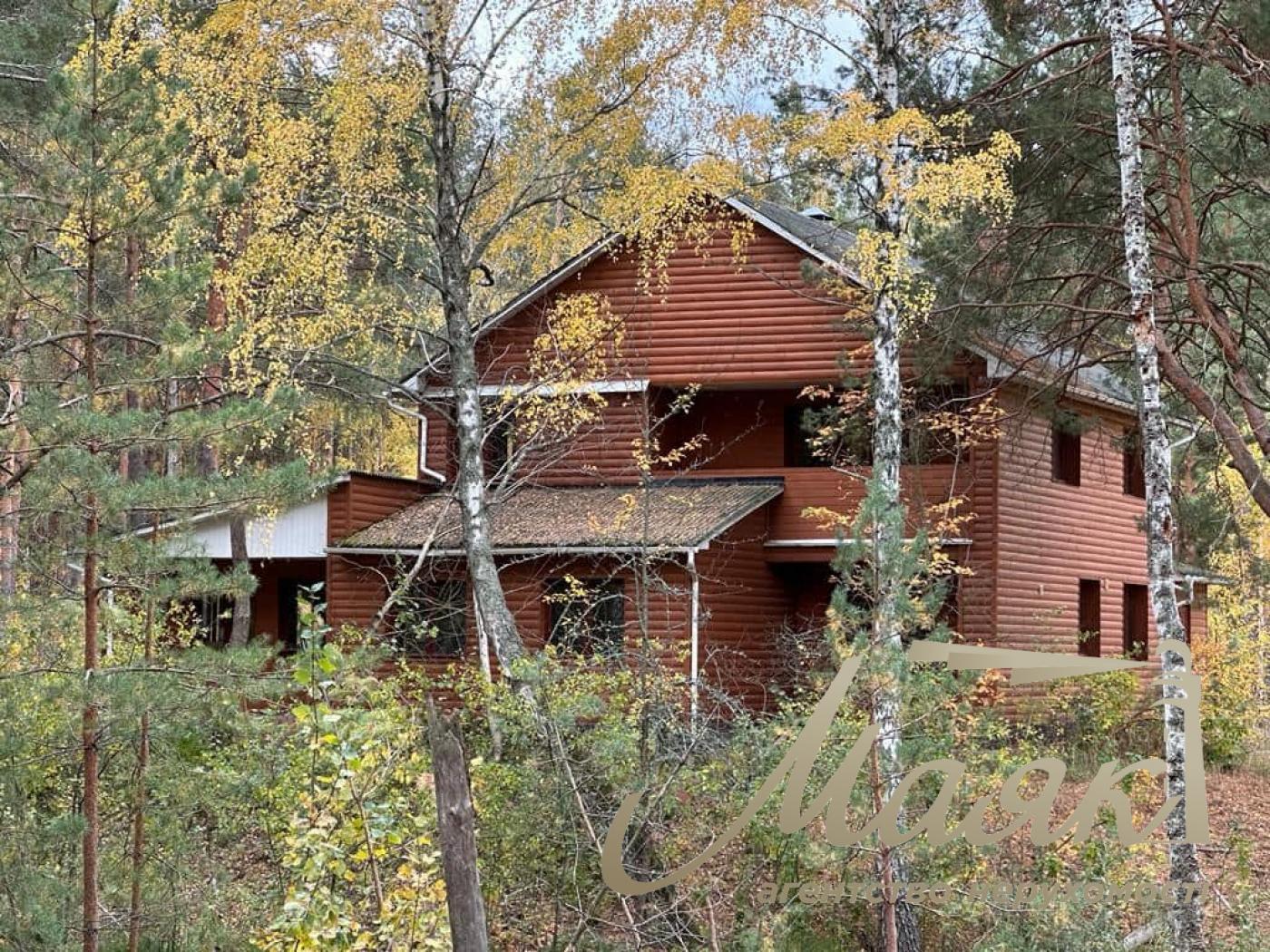 Sale of land with forest and access to the Dnieper. village Yasnogorodka