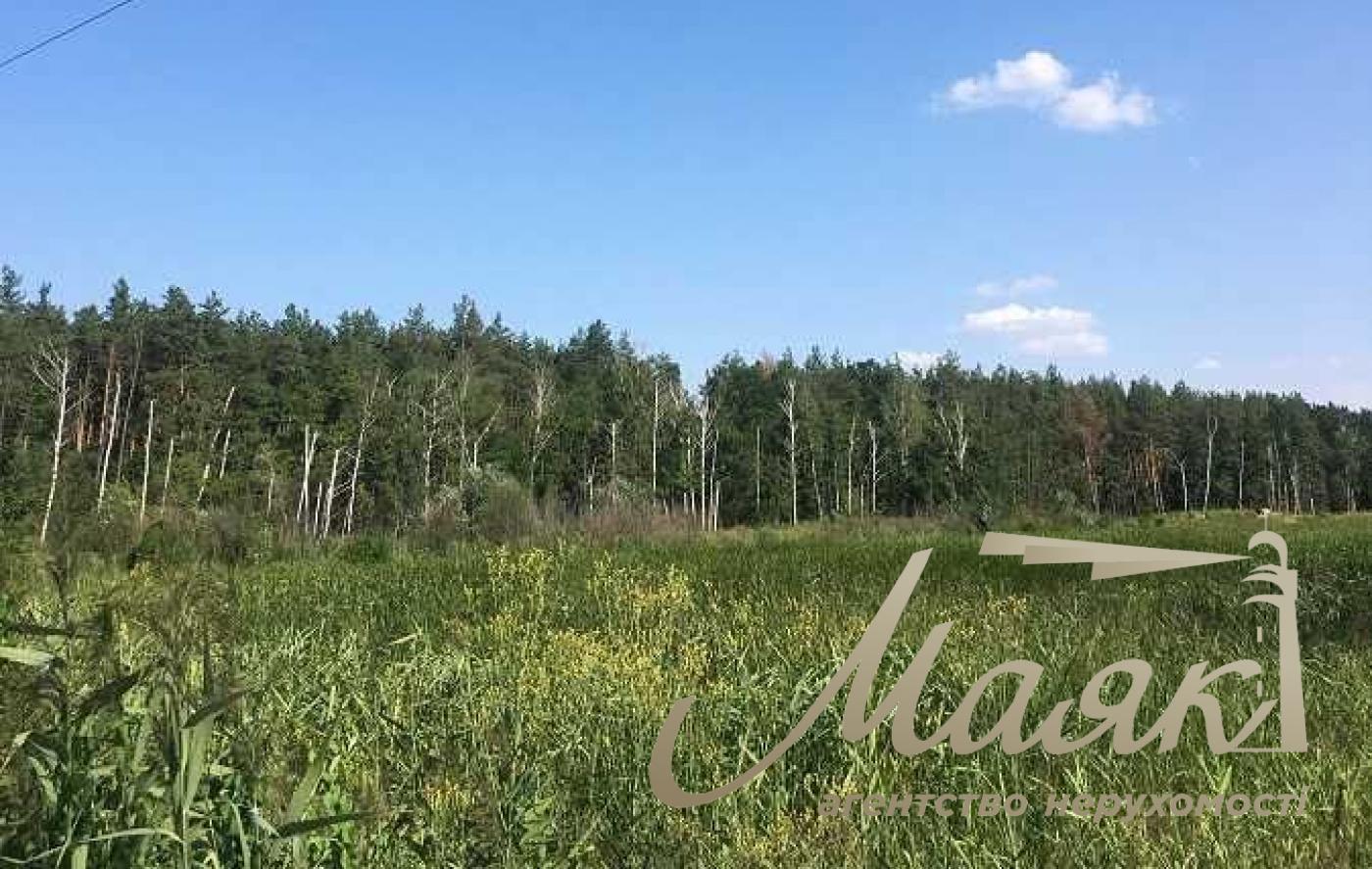 Sale of land for construction in the village of Mrigi, Kyiv region.
