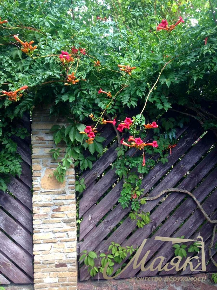 House for sale 170m2 in Podgortsy village, Ozernaya street, Obukhiv direction, Kiev region