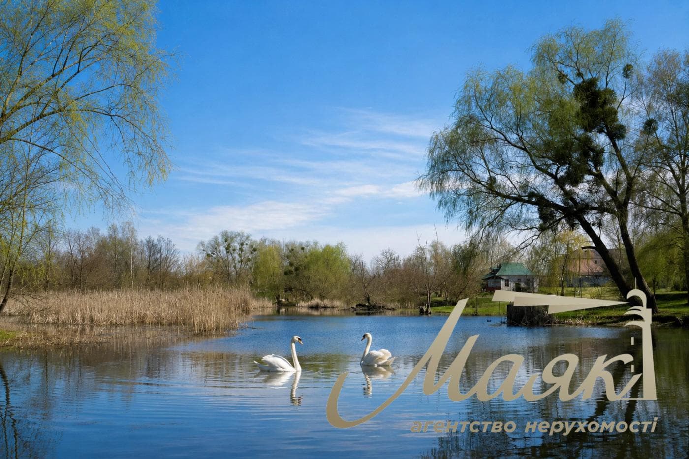 For sale house and land plot 10 sotok, Vytavska str., Chapaevka/Vita-Litovska, Kyiv, Goloseevsky district