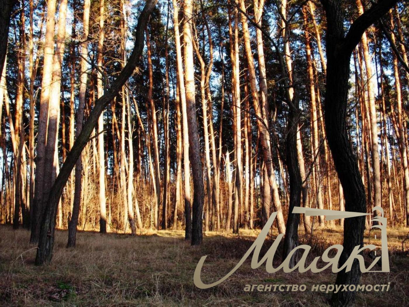 Sale of land for residential development Koncha-Zaspa.