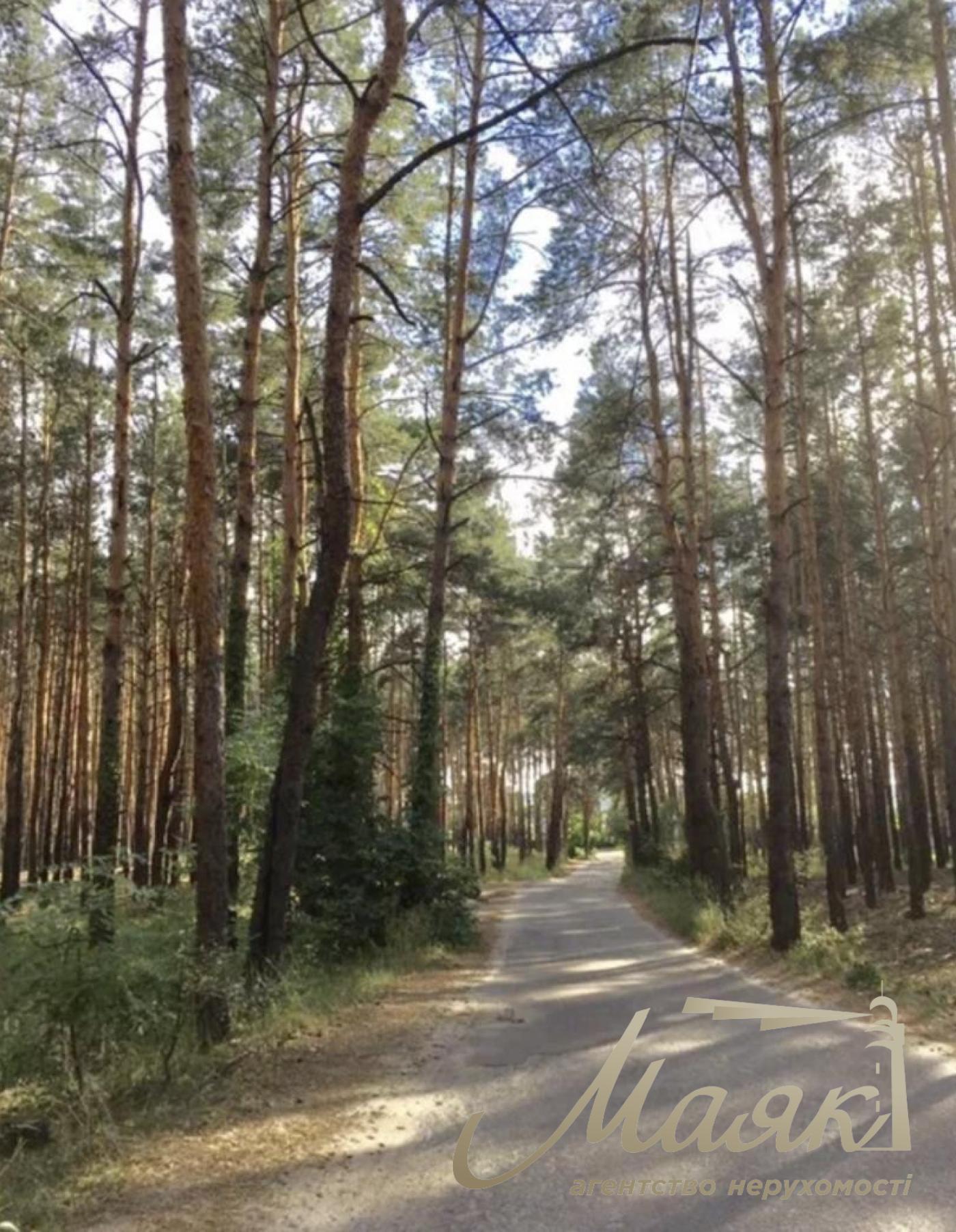 Land plot for sale in Chapaevka village/Vita Litovska str. Yuriy Lavrov, Goloseevskyi district, Kyiv