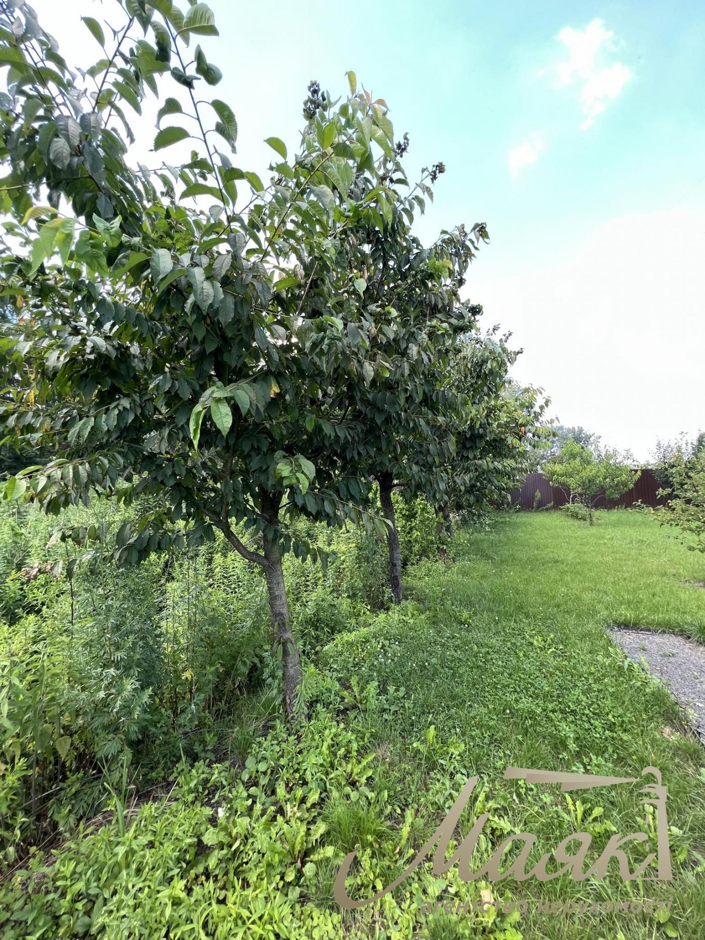 Sale of land with a lake and forest in the village of Khodosovka