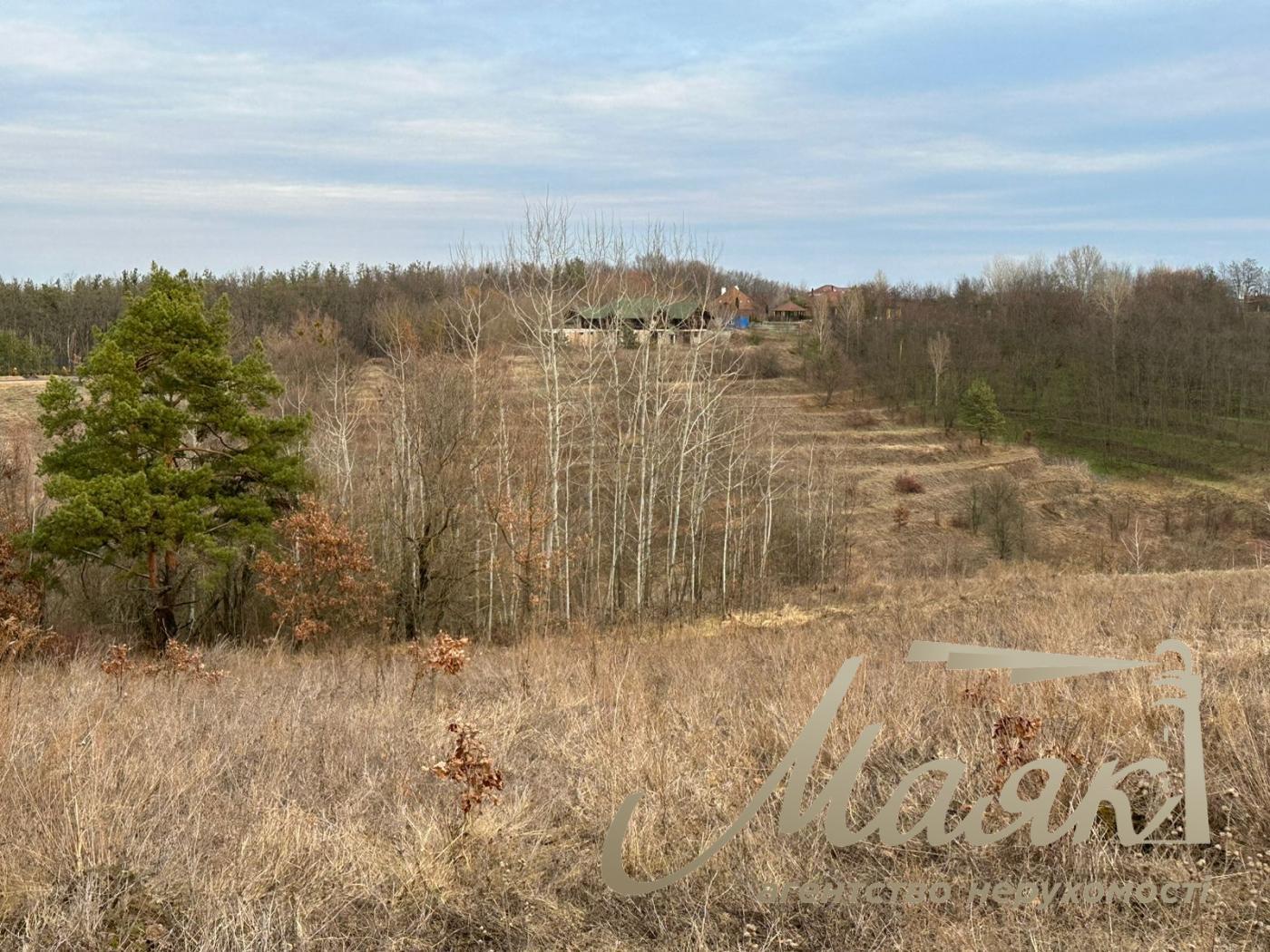 Sale of land for a cottage town, Khodosovka village