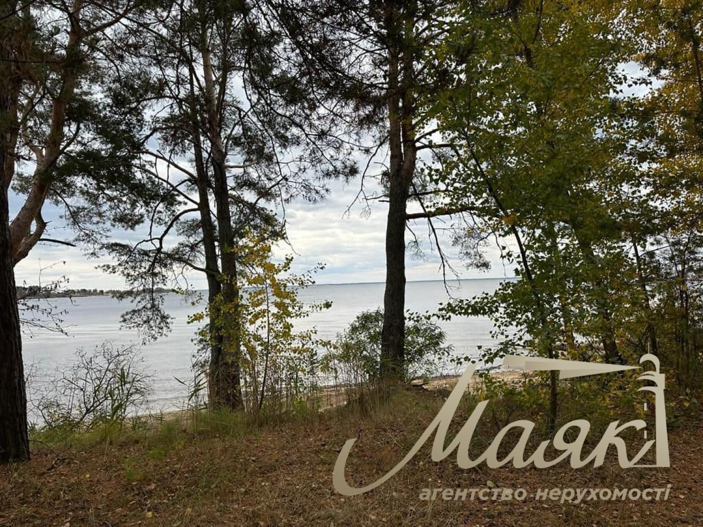 Sale of land with forest and access to the Dnieper. village Yasnogorodka