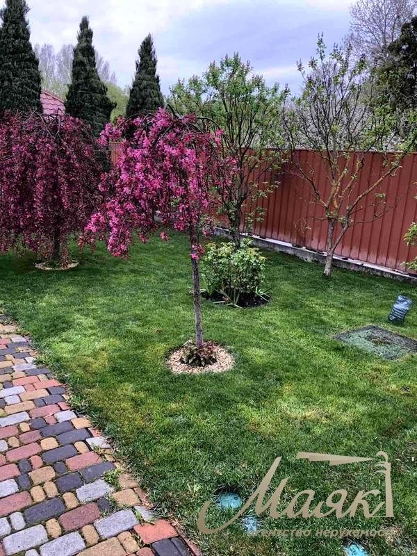 Оренда 2х-поверхового будинку 250 м² Голосіївський район, Чапаєвка/Віта-Литовська, Київ.