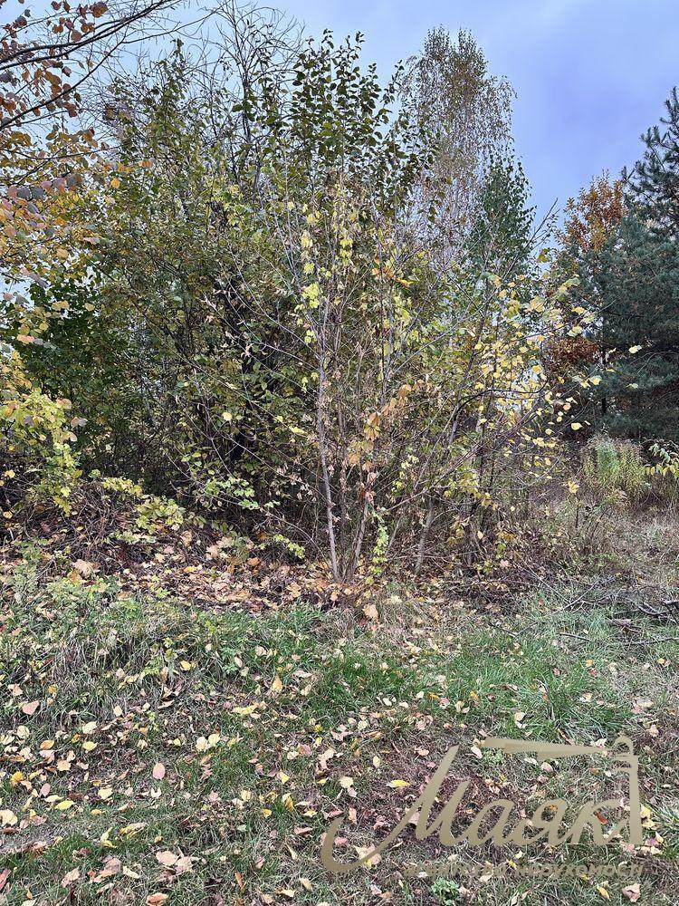 Продажа земельных участков от 15 соток до 8 Га — с.Вита-Почтовая и окрестности.