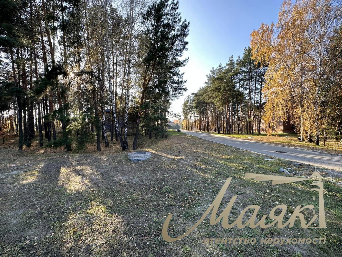 Sale of land in the forest in a cottage town. Koncha-Zaspa district.