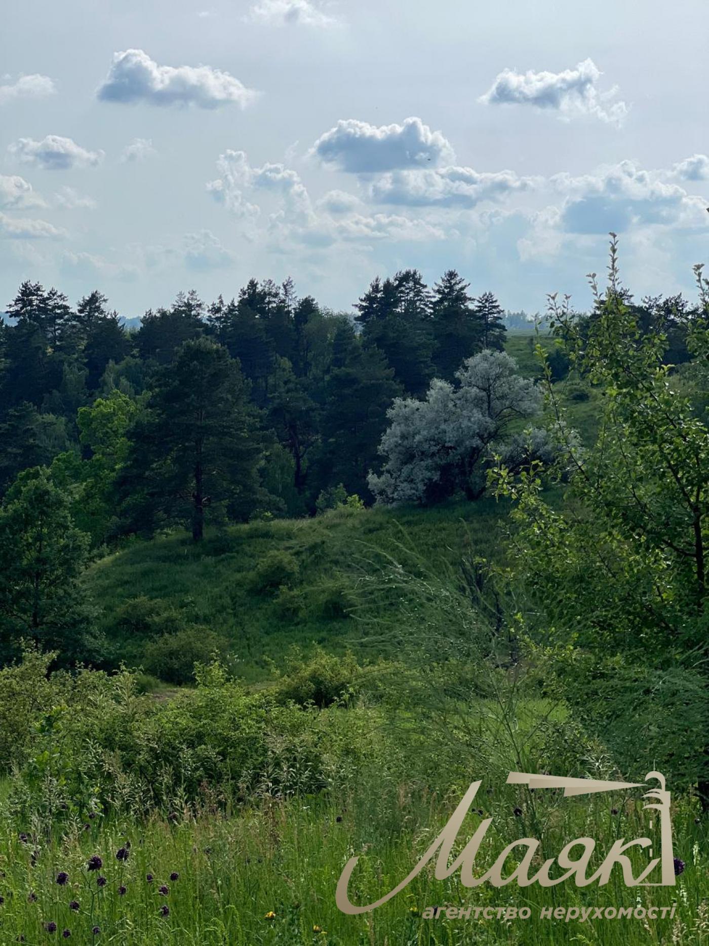 Sale of land for agricultural purposes Shkolnaya, Khodosovka village