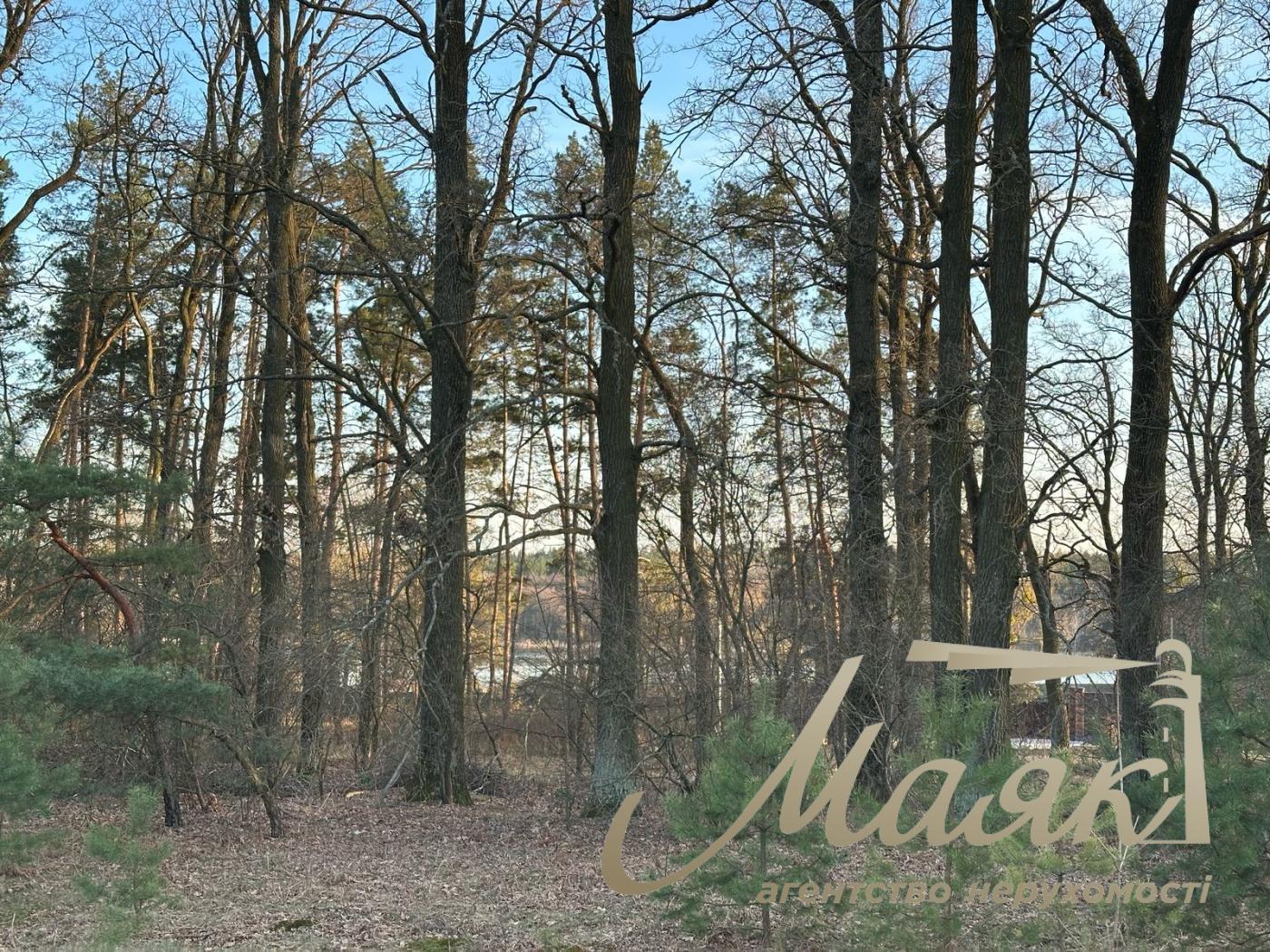 Sale of land for individual construction in the town. village of Kruglik.