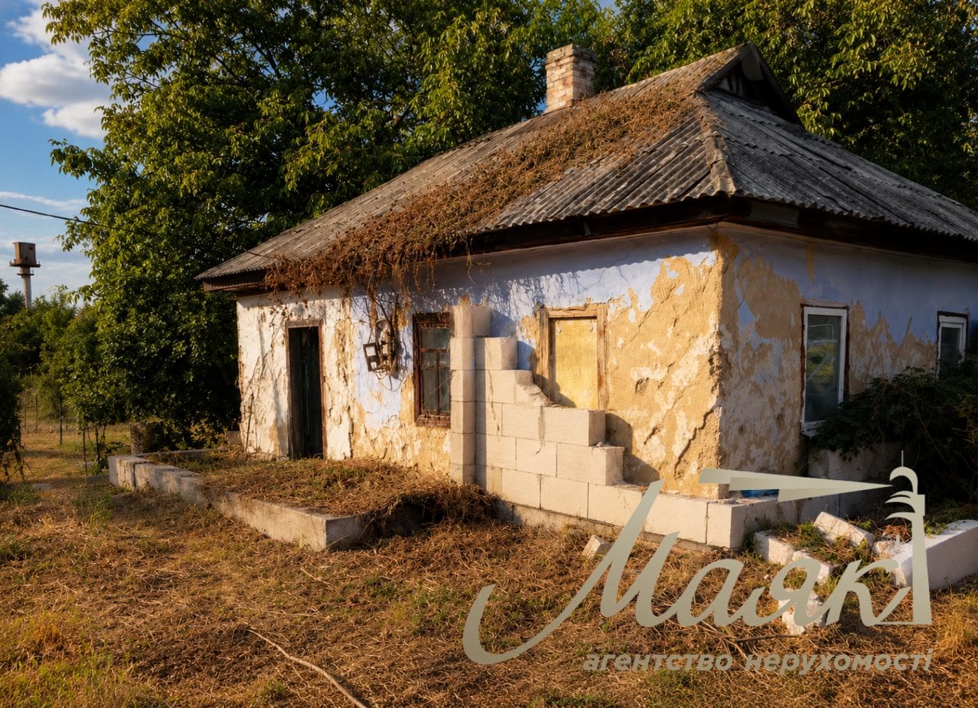 For sale house and land plot 10 sotok, Vytavska str., Chapaevka/Vita-Litovska, Kyiv, Goloseevsky district