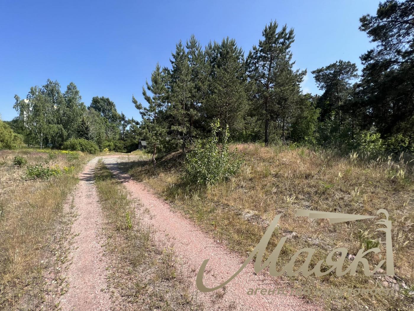 Sale of a plot with access to the Dnieper river. Kozin village. Dam