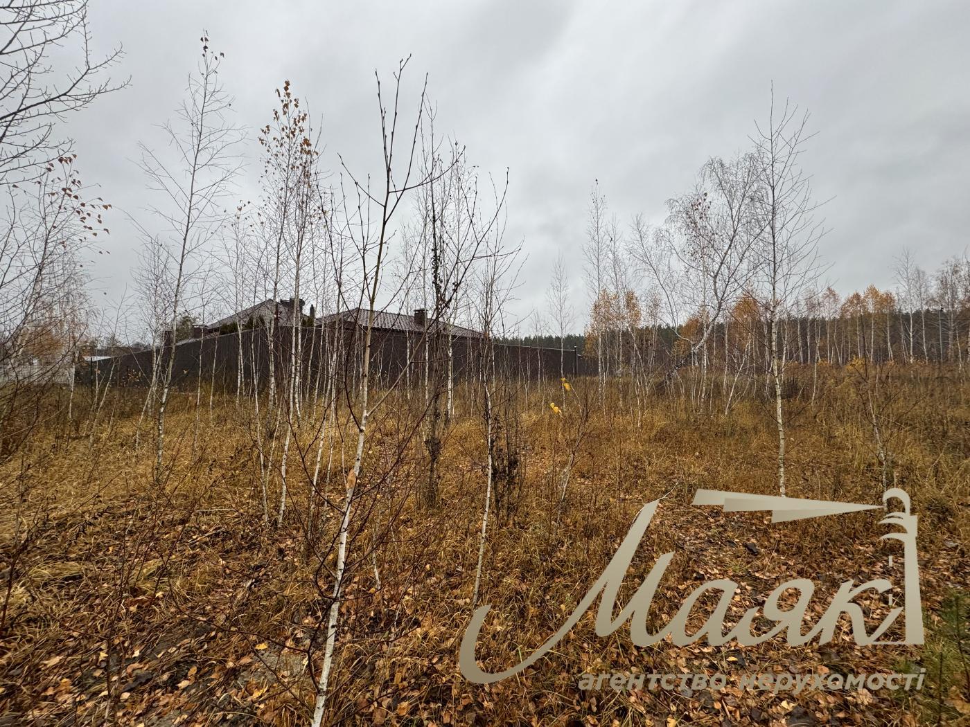 Sale of land in Kyiv region 40 acres + 20 acres for individual construction, Khutor Mrigi, Koncha Zaspa, Goloseevo, Kyiv