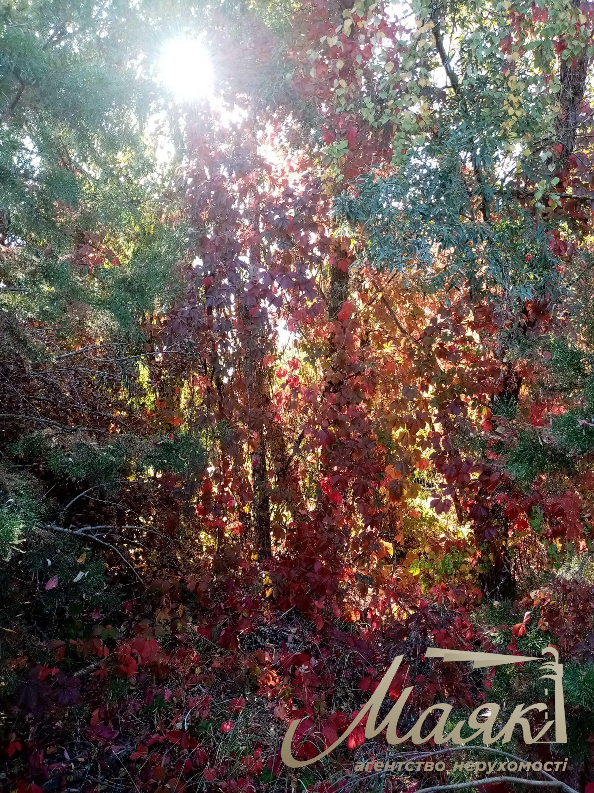 Plot for sale with access to the water (Koncha-Zaspa, Pluty, Kozin)