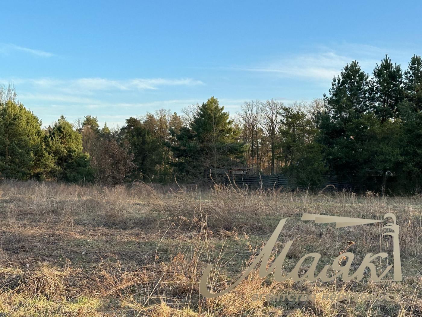 Sale of a plot of land in the forest in the town. village Kruglik.