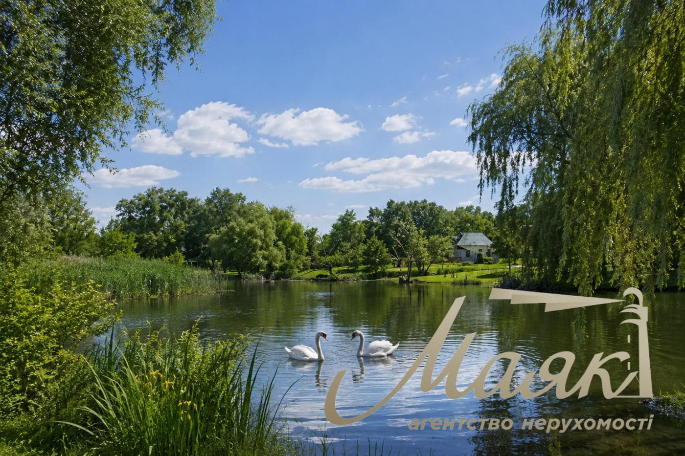 For sale house and land plot 10 sotok, Vytavska str., Chapaevka/Vita-Litovska, Kyiv, Goloseevsky district