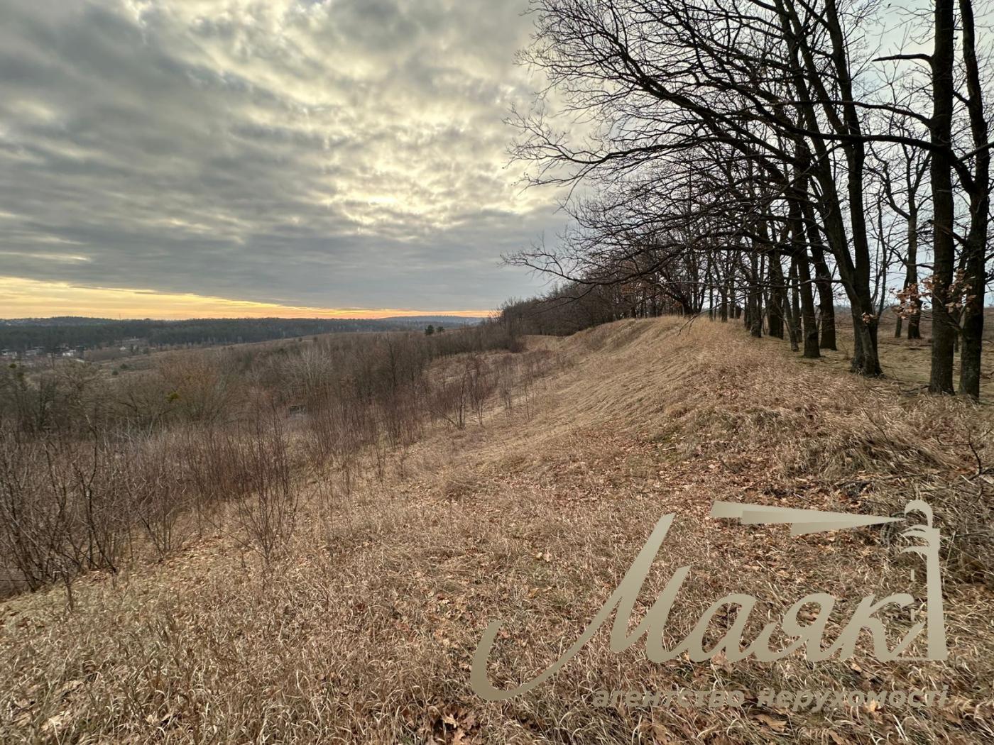 Sale of land for a cottage town, Khodosovka village