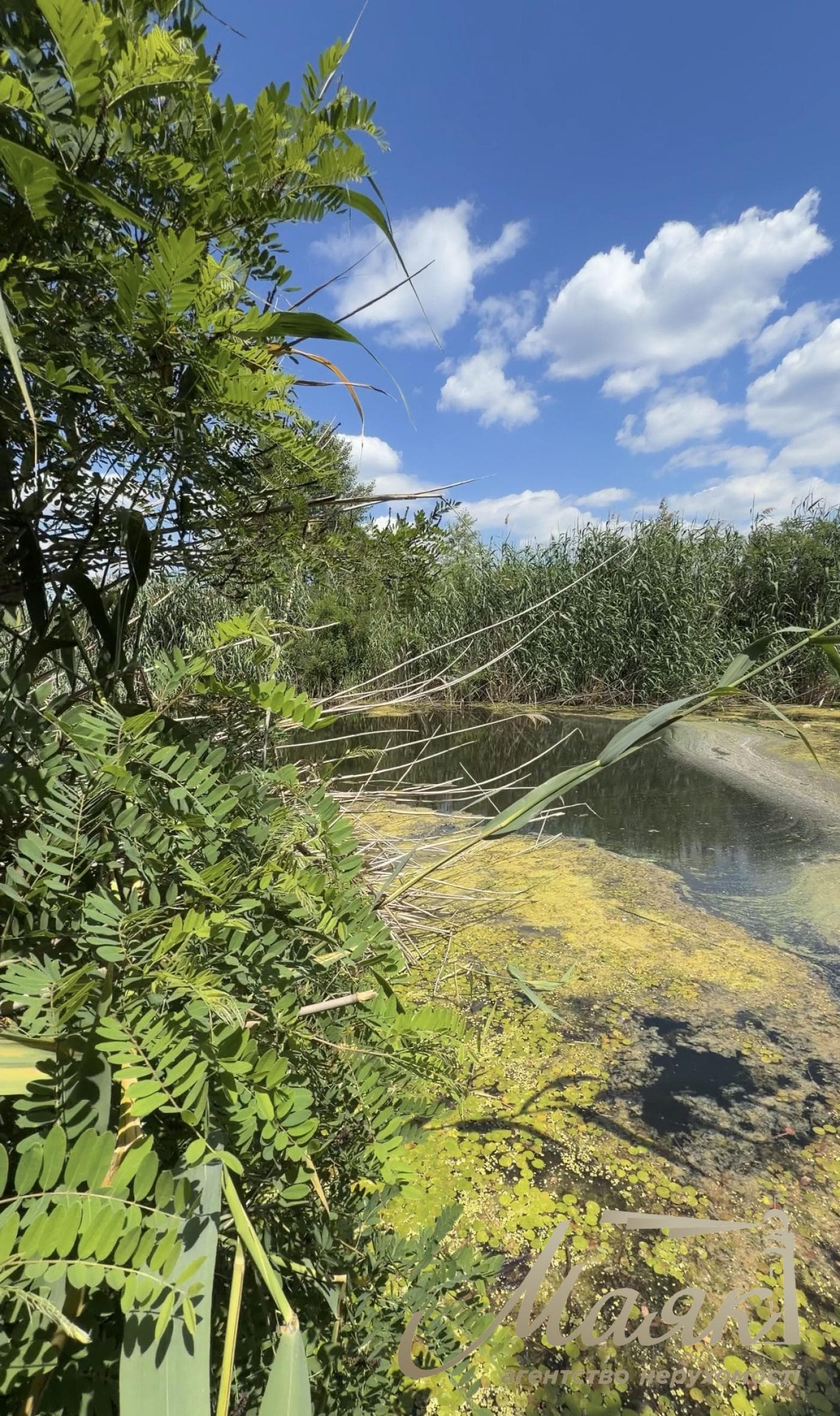 25 sotok of land for sale near the water, Kozin