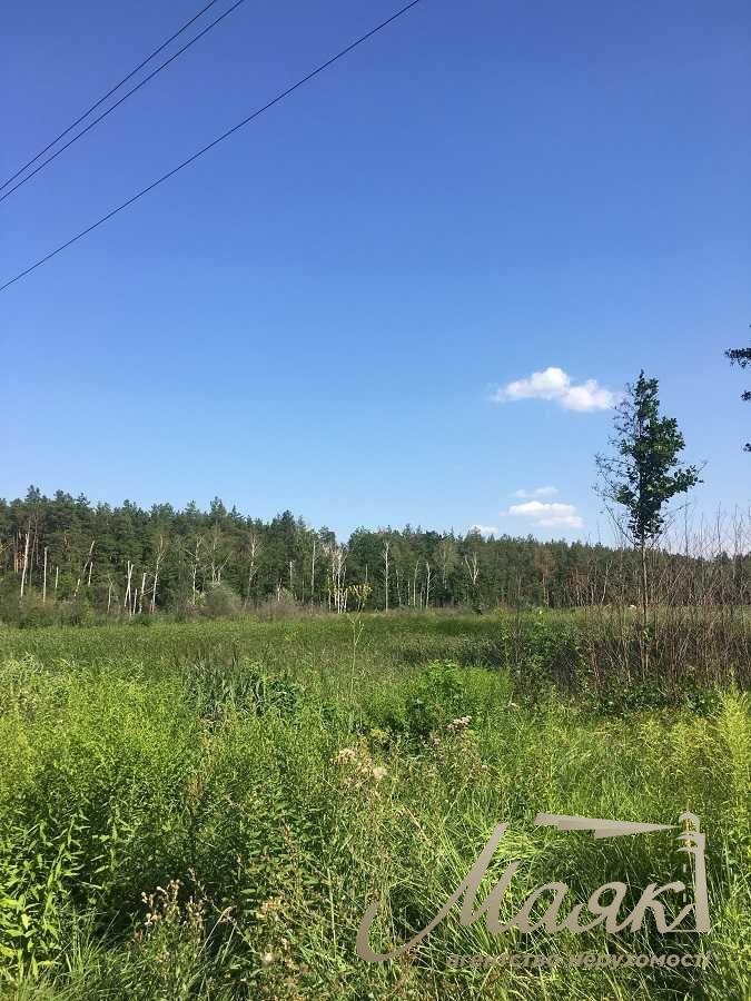 Sale of land for construction in the village of Mrigi, Kyiv region.