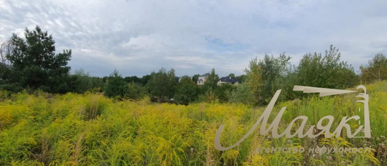 Sale of a plot in the village of Lesniki, 38.9 acres