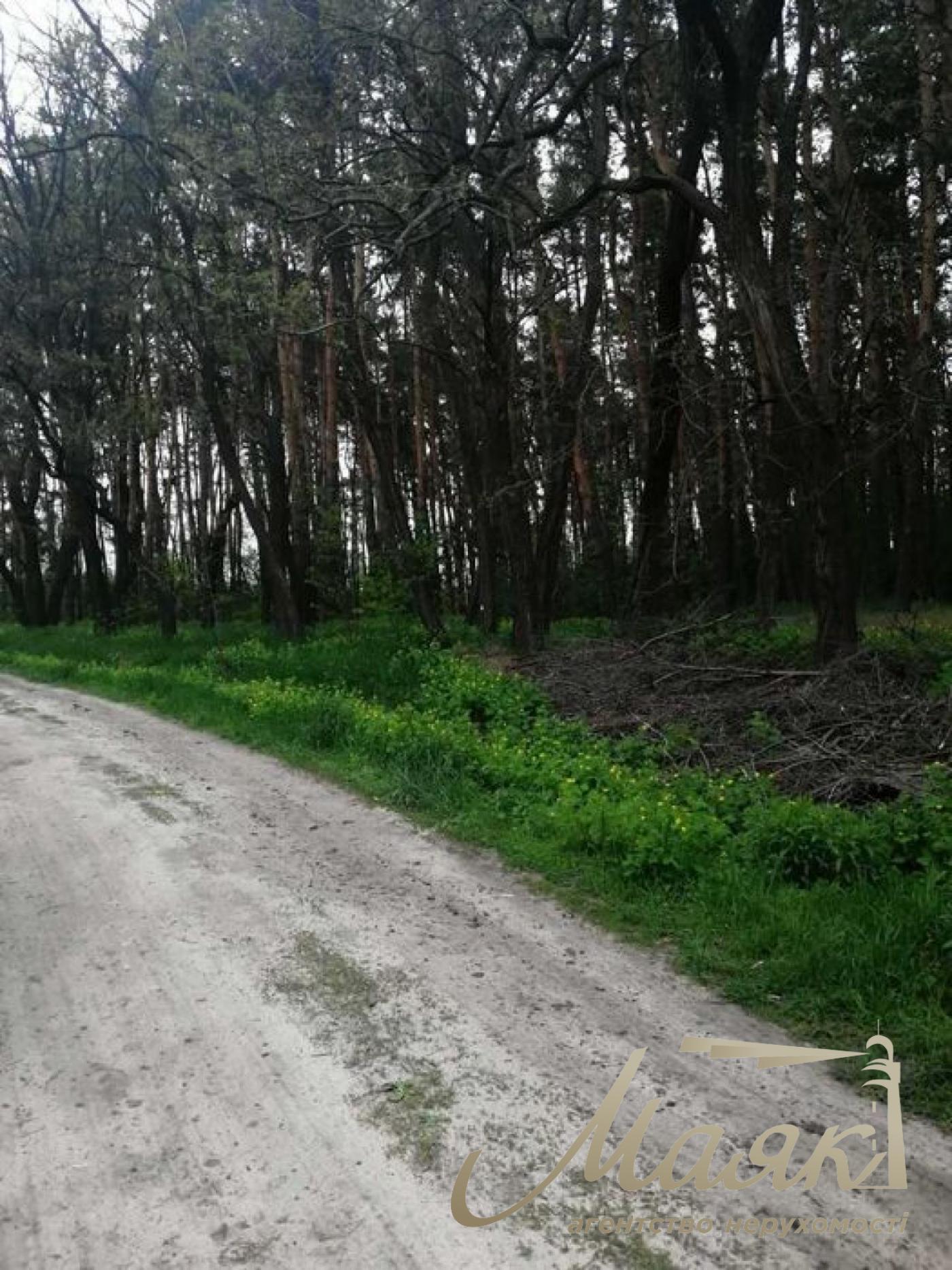 Sale of land for residential development Koncha-Zaspa.