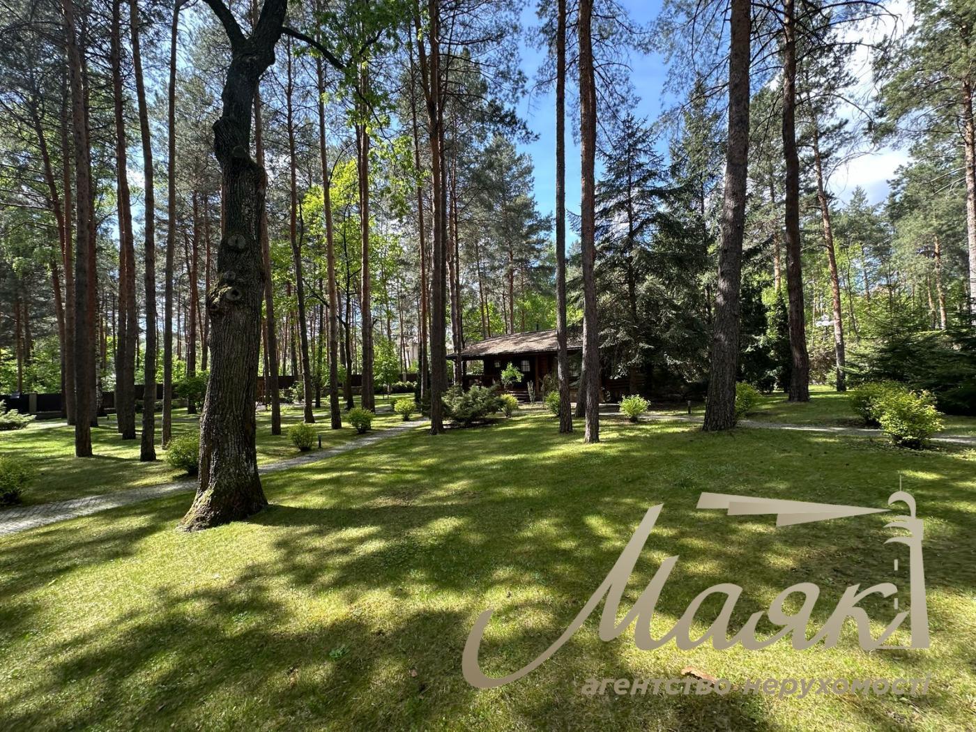 Sale of a plot in the forest in the city of Koncha-Zaspa. Kozin village