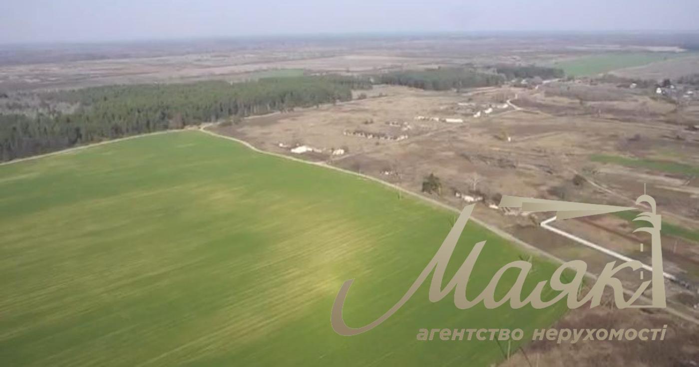Sale of agricultural land. Brovarsky district