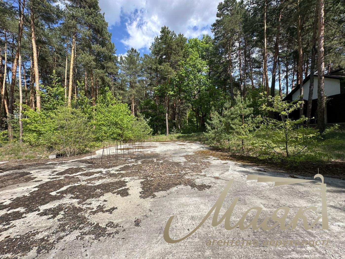 Sale of a plot of land in the forest in the city of Koncha-Zaspa.