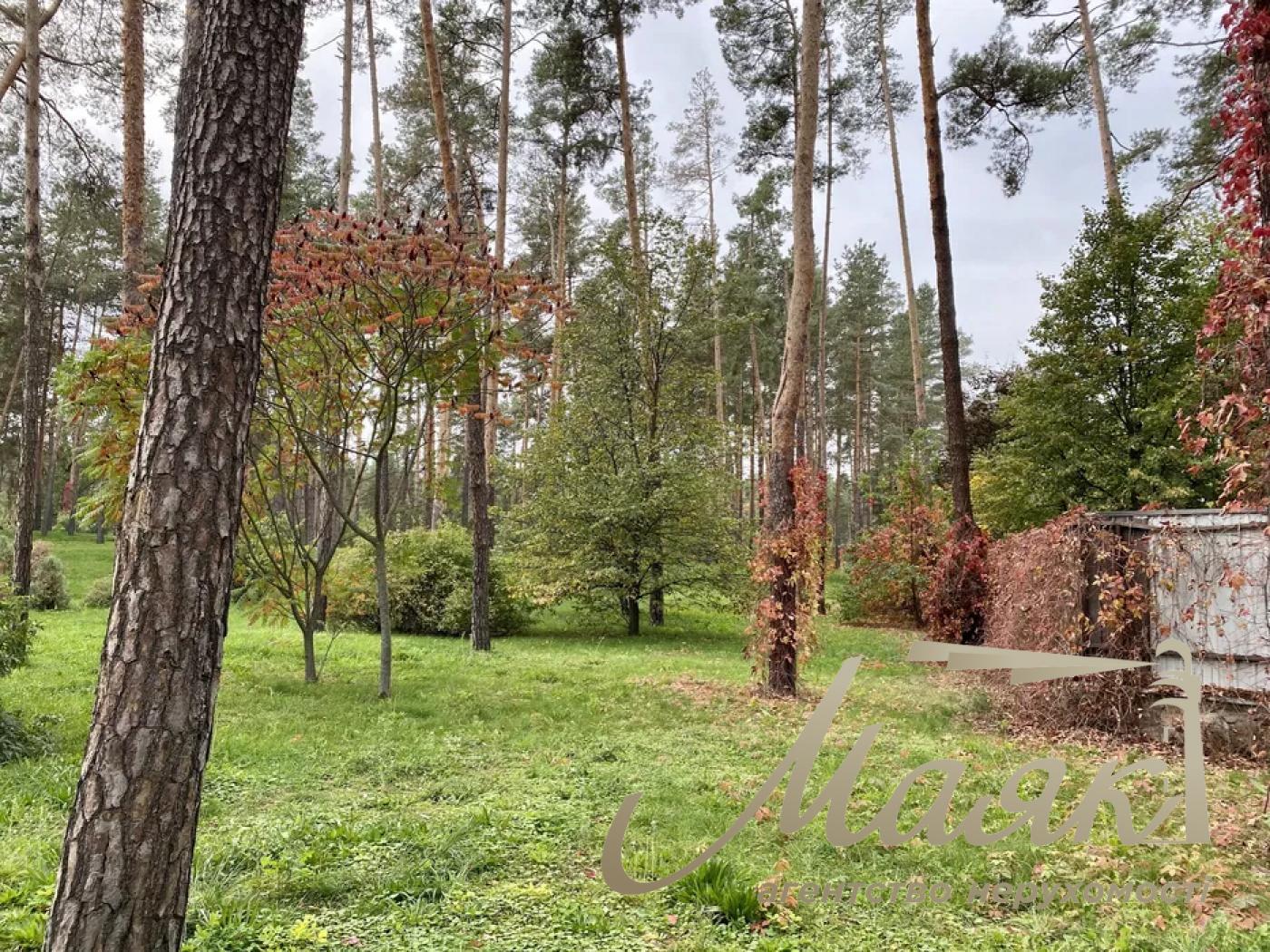 Продаётся дом невероятного, эксклюзивного проекта. Участок — 1,7 га леса высшей категории!