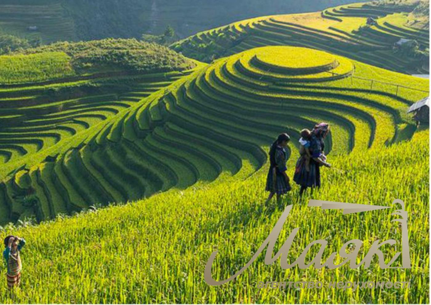 Sale of land for a cottage town, Khodosovka village