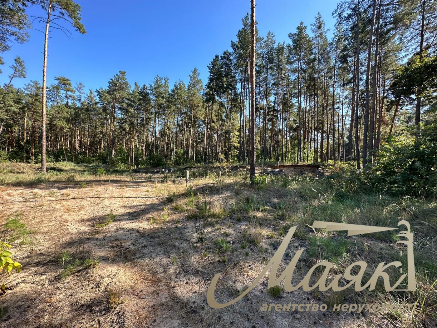 Sale of land in the forest for construction of a town. Koncha-Zaspa.